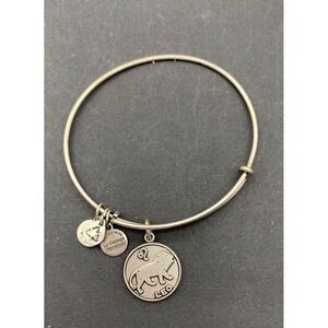 Alex and Ani LEO Charm Bracelet Silver tone 2013 Dangle Round Zodiac